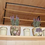 Casa L'antico Fontanino Montescaglioso